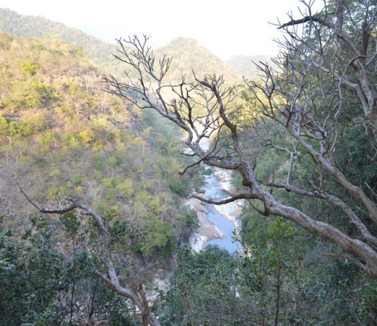 Ananthagiri Hills Visakhapatnam Complete Travel Guide Best Time to Visit & How to Reach Ananthagiri Visakhaguide